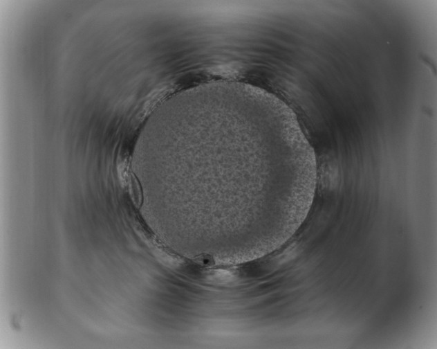 X0000103140285200809051621