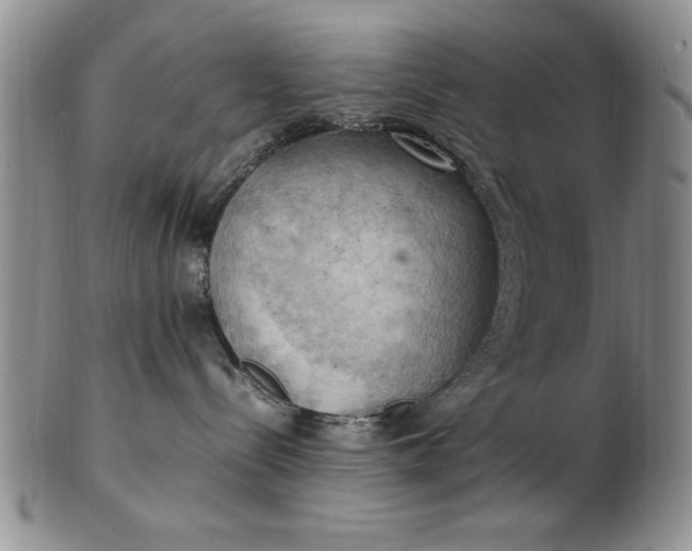 X0000103140288200809051621