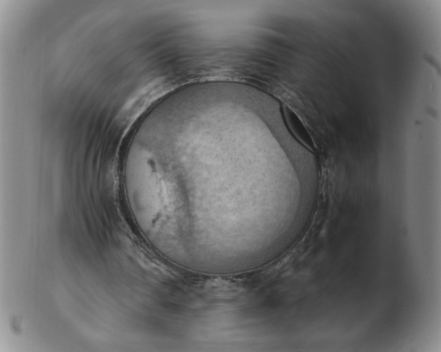 X0000103140290200809051621