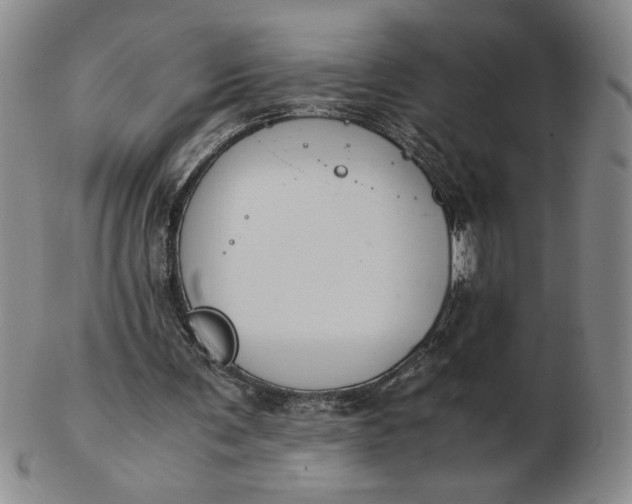 X0000103140291200809051621