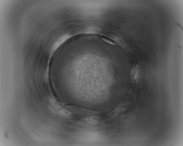 X0000103140292200809051621