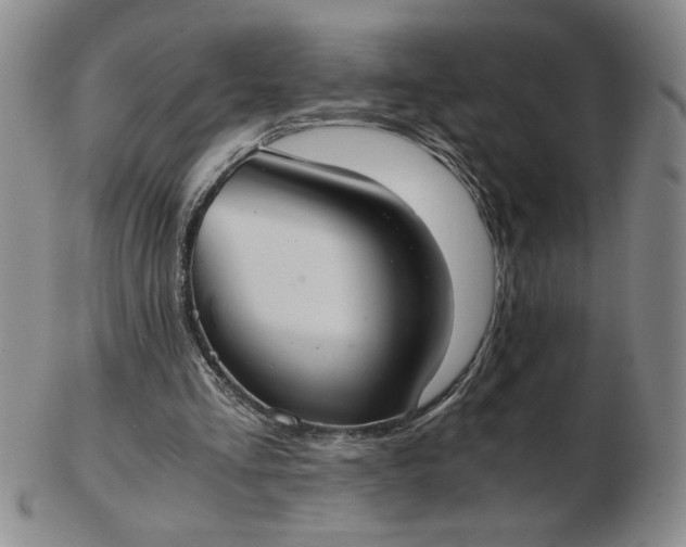 X0000103140293200809051621