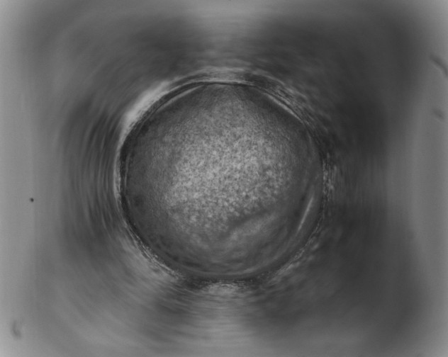 X0000103140294200809051621