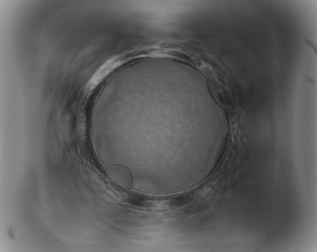 X0000103140295200809051621