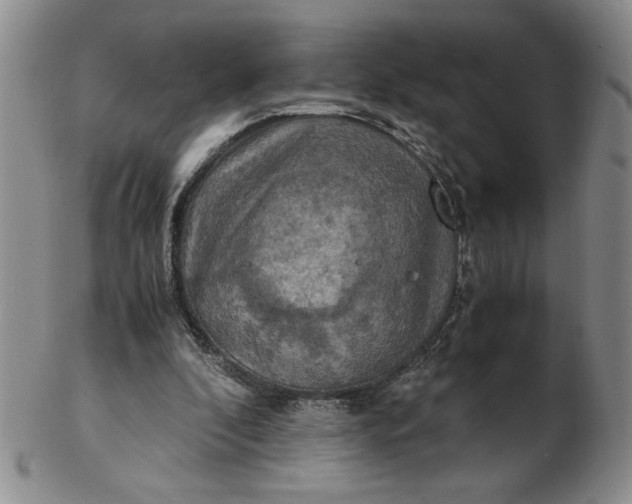 X0000103140296200809051621