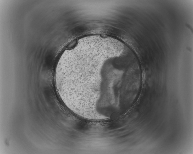 X0000103140297200809051621