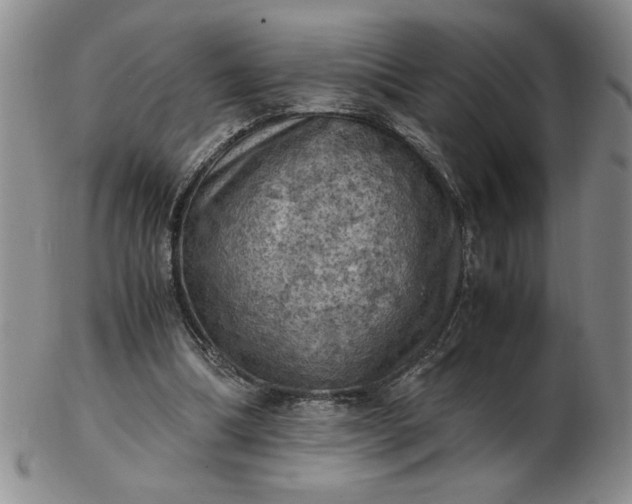 X0000103140298200809051621