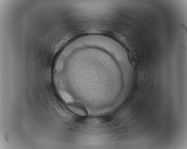 X0000103140299200809051621