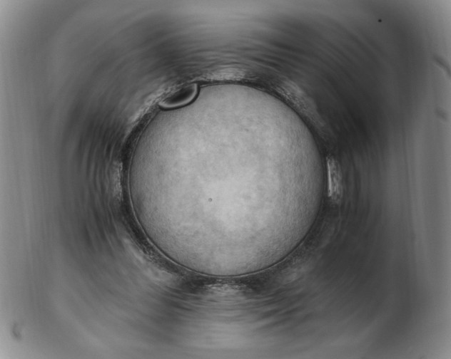 X0000103140300200809051621