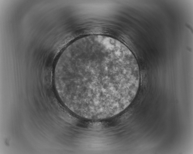 X0000103140301200809051621