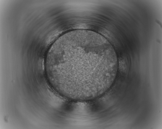 X0000103140302200809051621