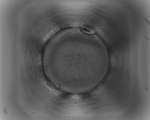 X0000103140303200809051621