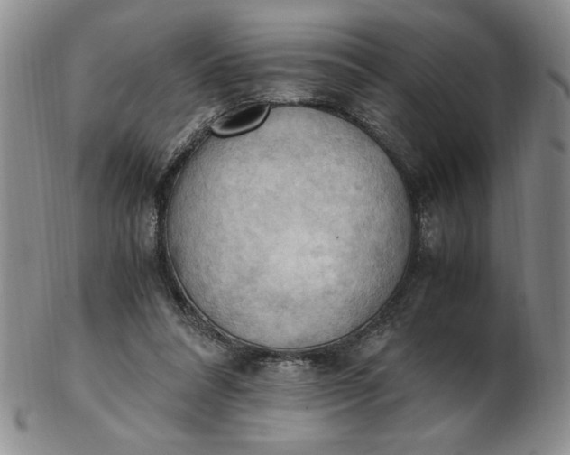 X0000103140304200809051621