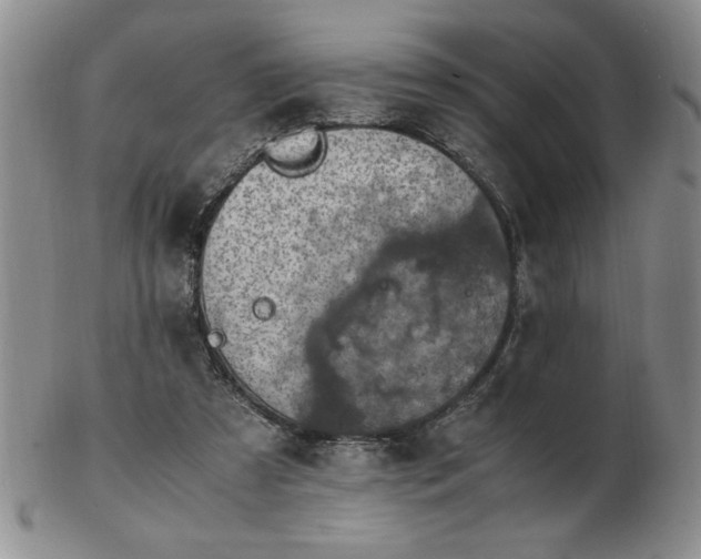 X0000103140305200809051621