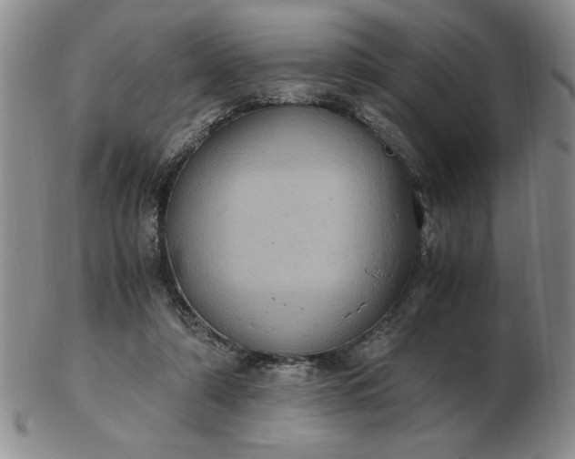 X0000103140306200809051620