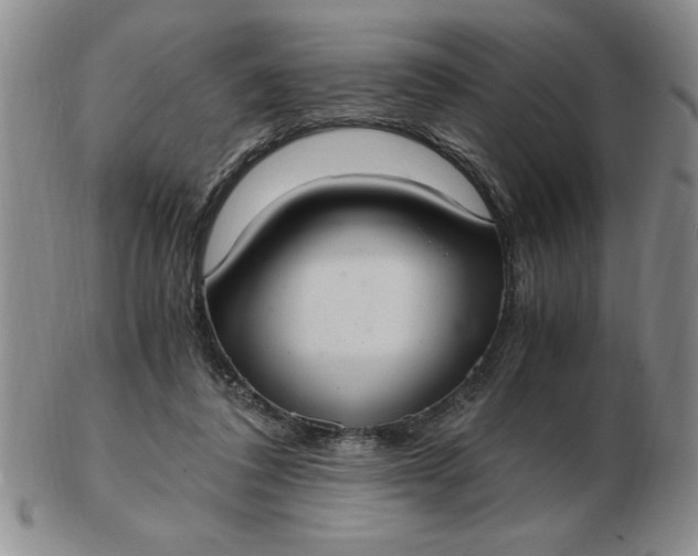 X0000103140308200809051620