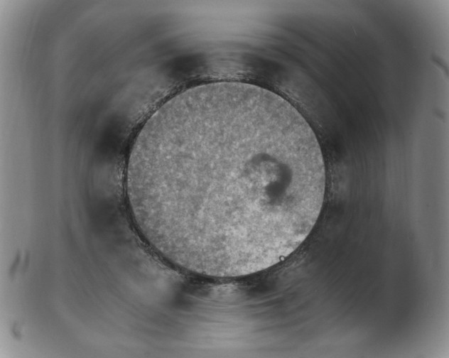 X0000103140309200809051620