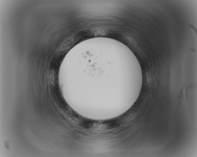 X0000103140311200809051620