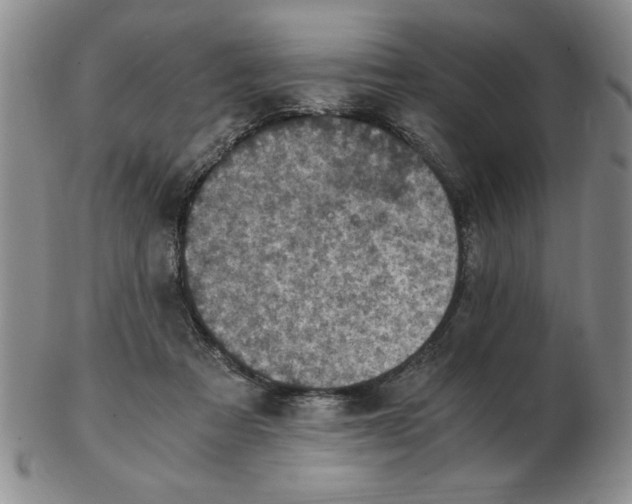 X0000103140313200809051620