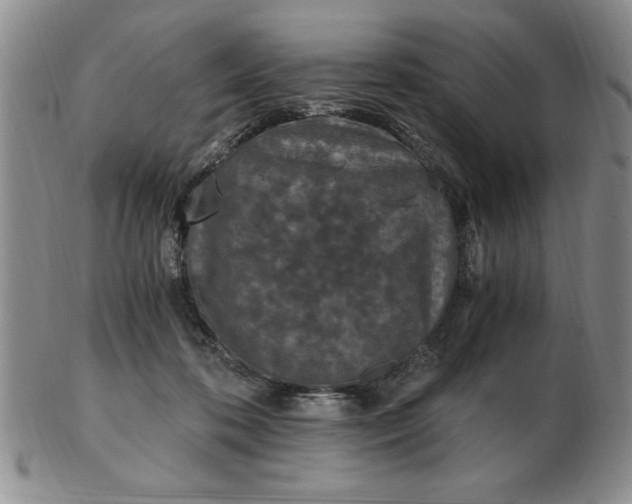 X0000103140316200809051620