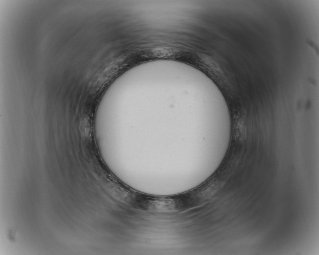 X0000103140317200809051620