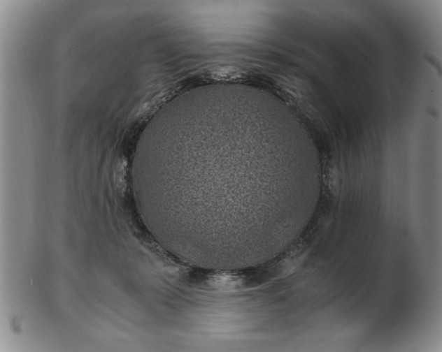 X0000103140319200809051620