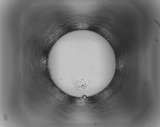 X0000103140321200809051620