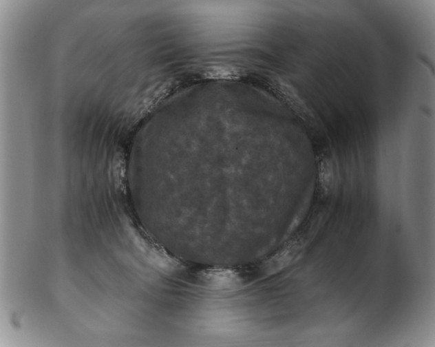 X0000103140322200809051620