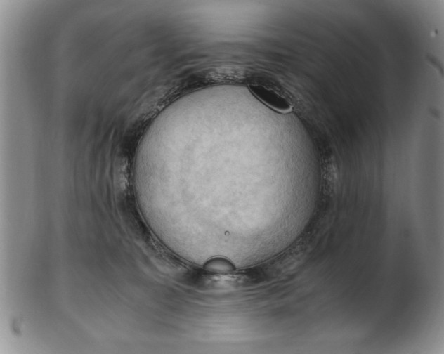 X0000103140323200809051620