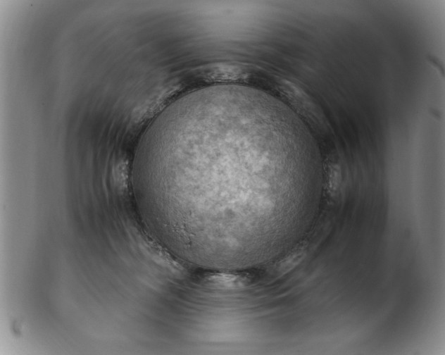 X0000103140326200809051620