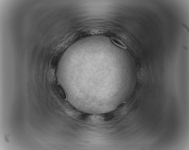 X0000103140327200809051620