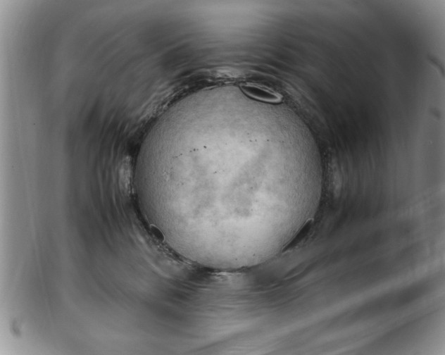 X0000103140328200809051620