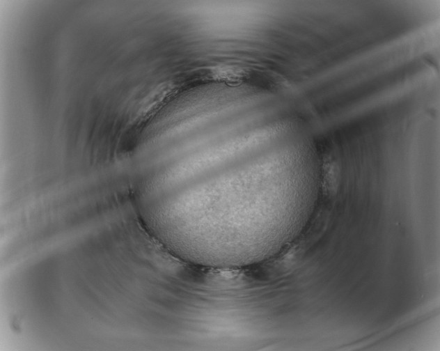 X0000103140329200809051620