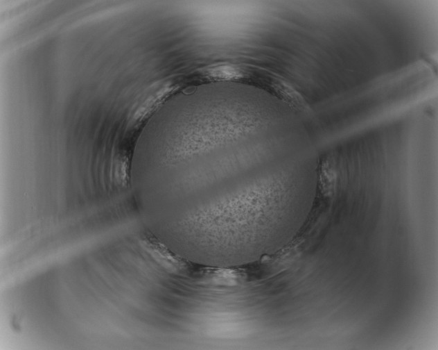 X0000103140330200809051620