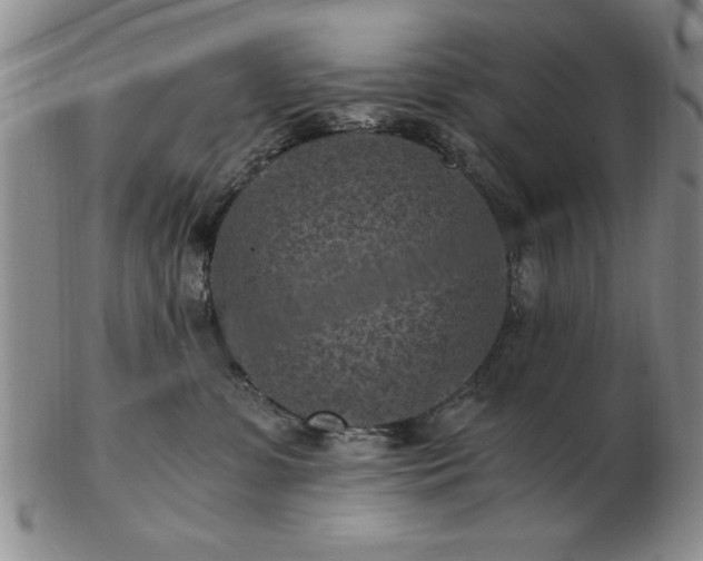 X0000103140331200809051620