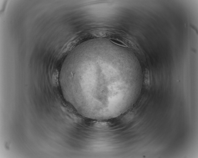 X0000103140332200809051620