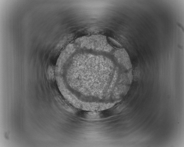 X0000103140335200809051620