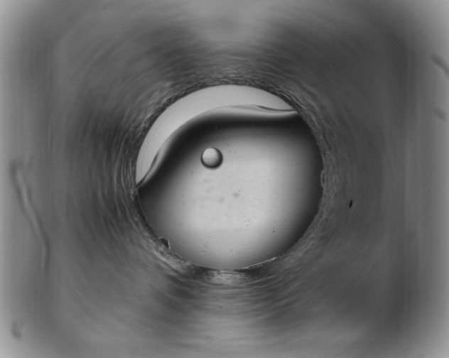 X0000103140336200809051620