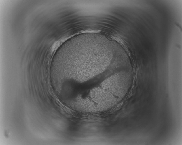 X0000103140337200809051619