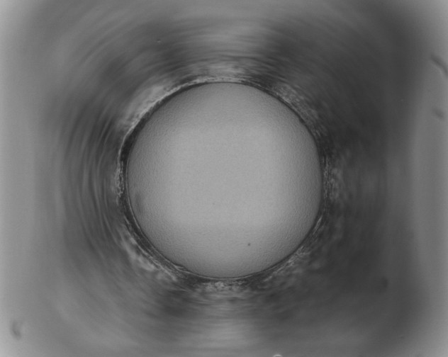 X0000103140338200809051619