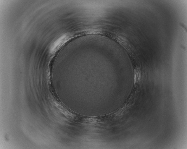 X0000103140339200809051619