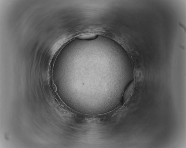 X0000103140340200809051619