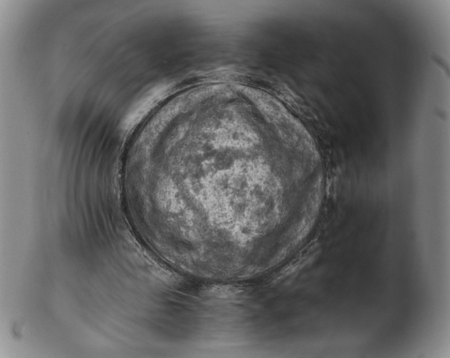 X0000103140341200809051619