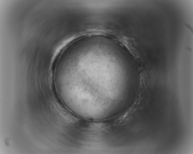 X0000103140342200809051619