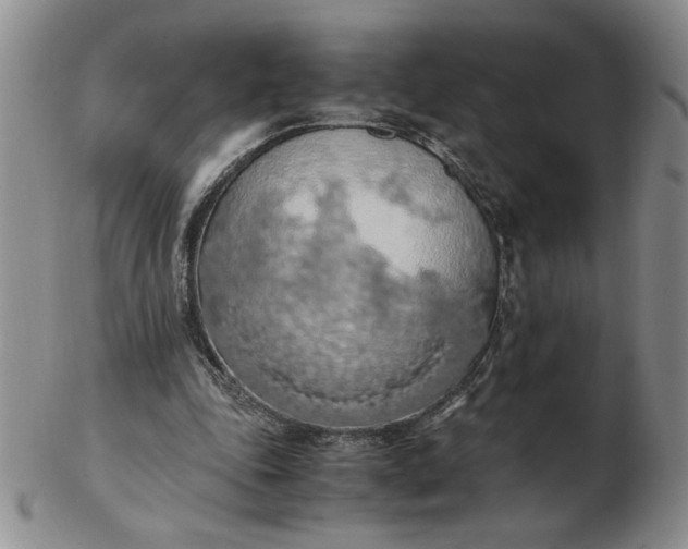 X0000103140343200809051619