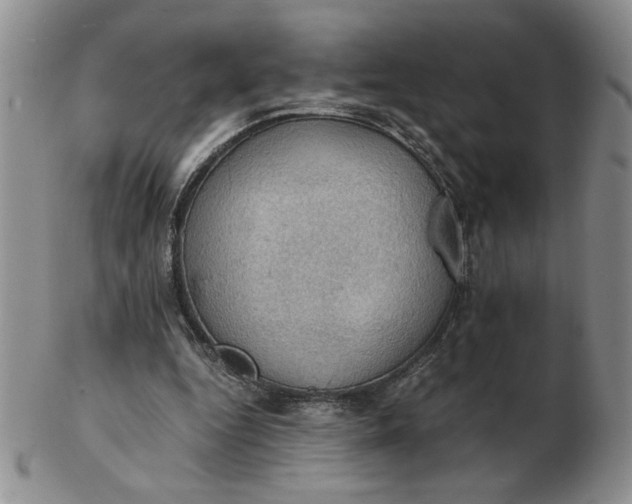 X0000103140344200809051619