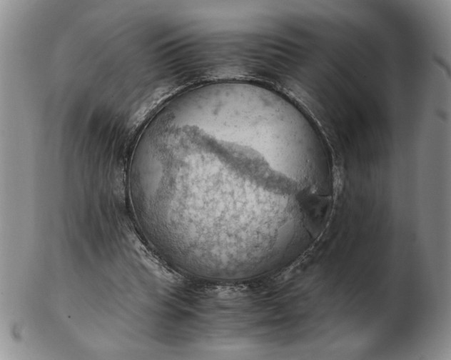 X0000103140345200809051619