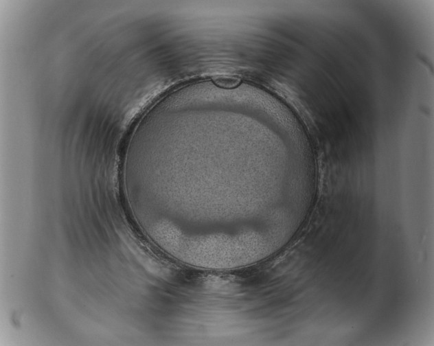 X0000103140346200809051619