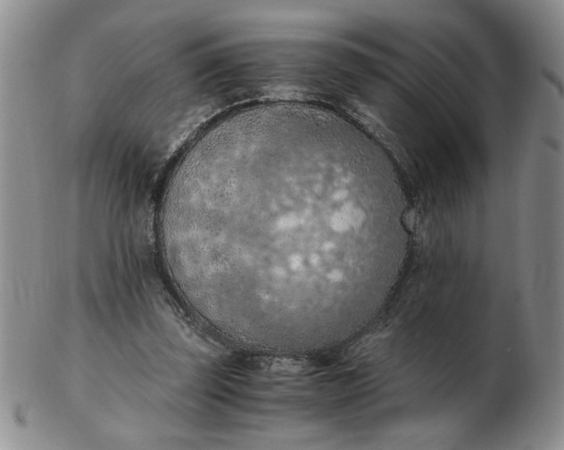 X0000103140347200809051620