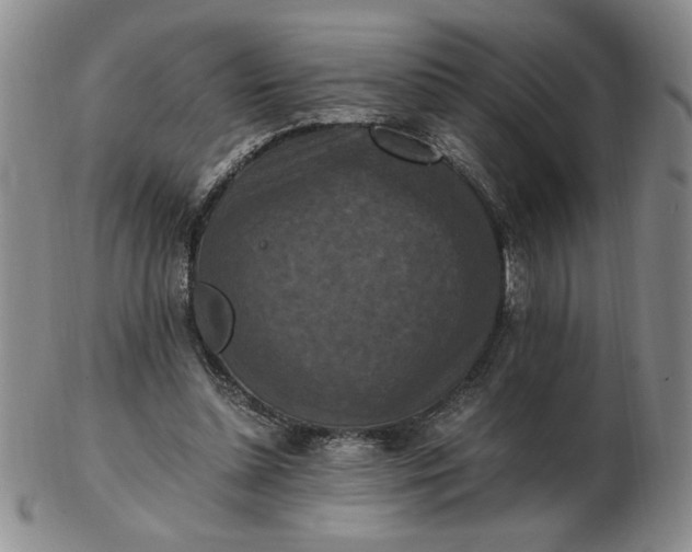 X0000103140348200809051620